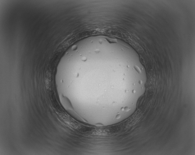 X0000083000656200702230128