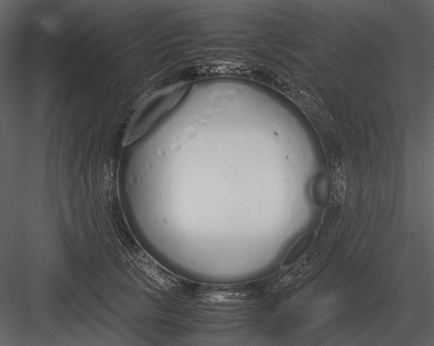 X0000083000657200702230128