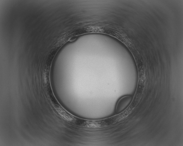 X0000083000658200702230128