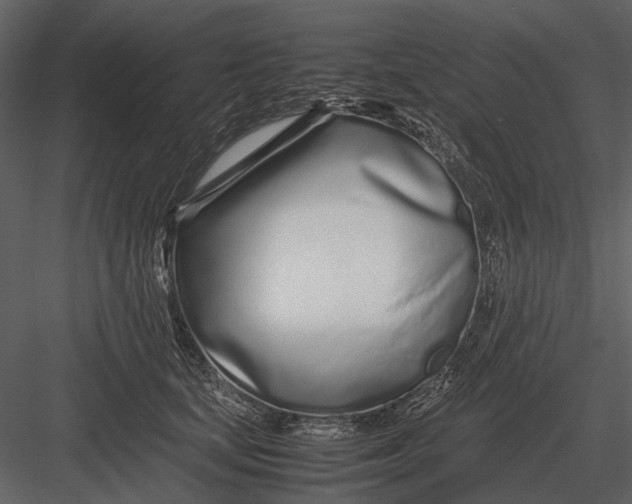 X0000083000659200702230128