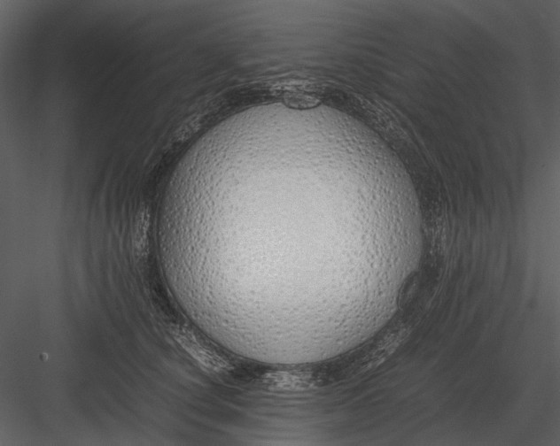 X0000083000660200702230128