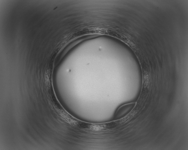 X0000083000662200702230128