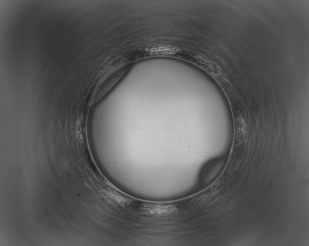 X0000083000663200702230128