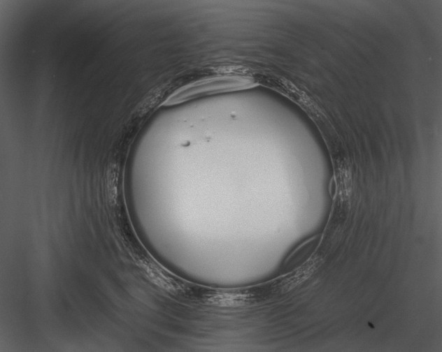 X0000083000664200702230128