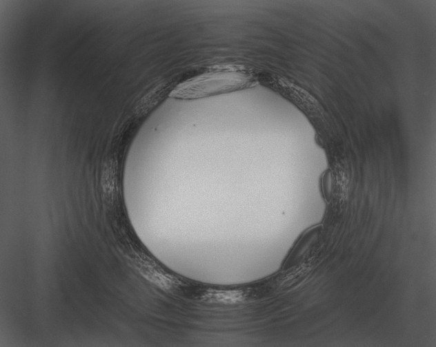 X0000083000665200702230128