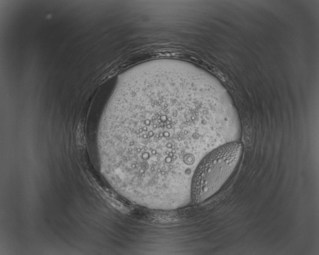 X0000083000666200702230128