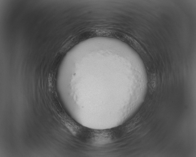 X0000083000667200702230128