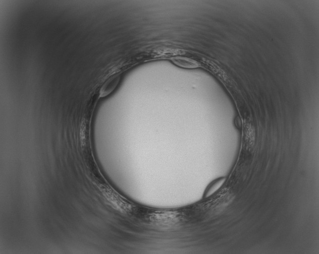 X0000083000668200702230128