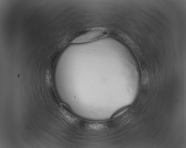 X0000083000669200702230128