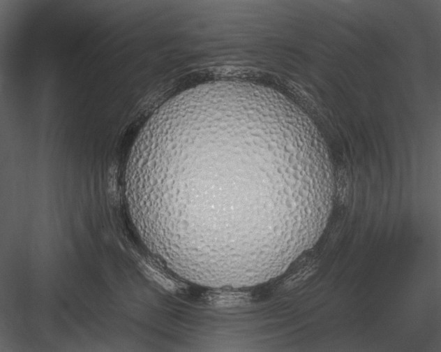 X0000083000670200702230128