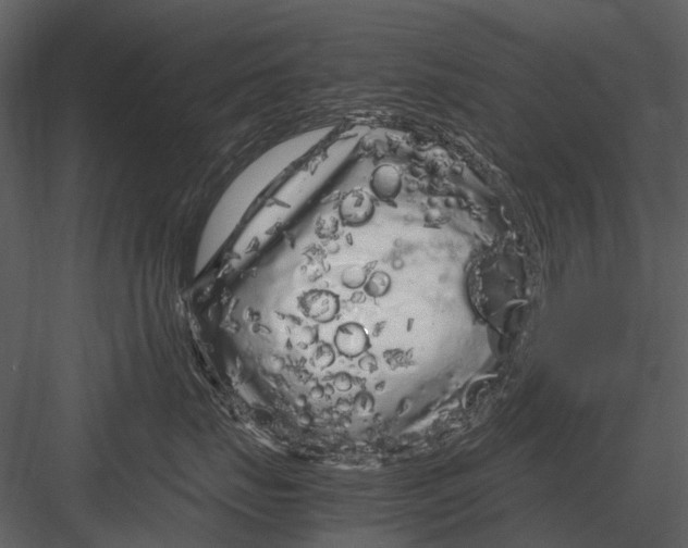 X0000083000671200702230128