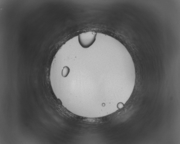 X0000083000672200702230128