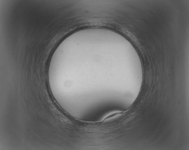 X0000083000673200702230127