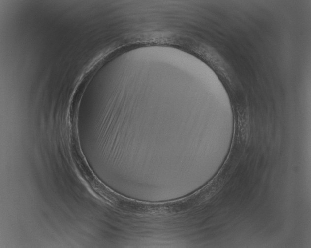 X0000083000674200702230127