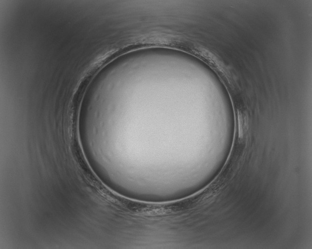 X0000083000675200702230127