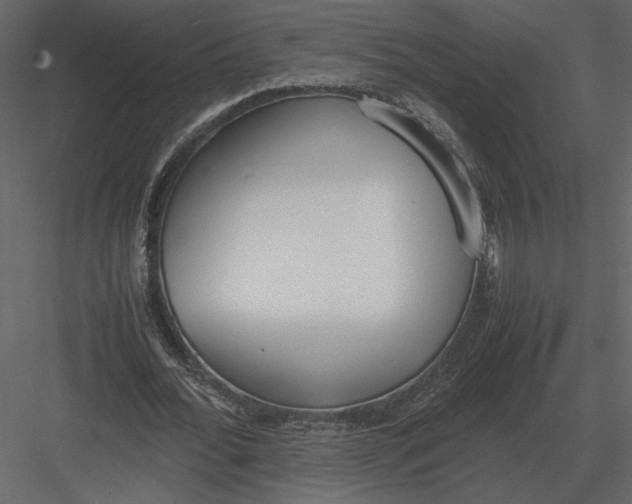 X0000083000676200702230127