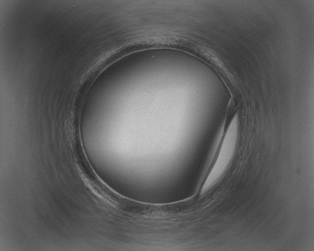 X0000083000677200702230127