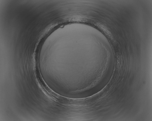 X0000083000678200702230127