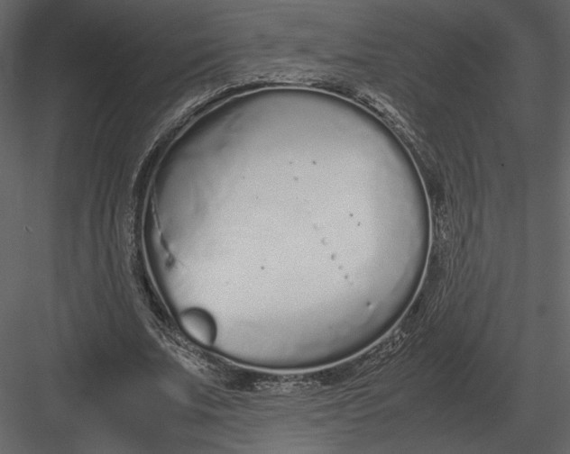 X0000083000679200702230127