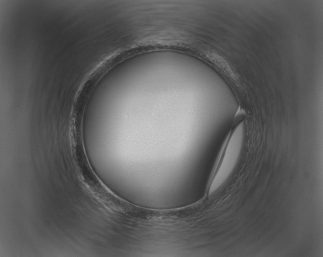 X0000083000680200702230127