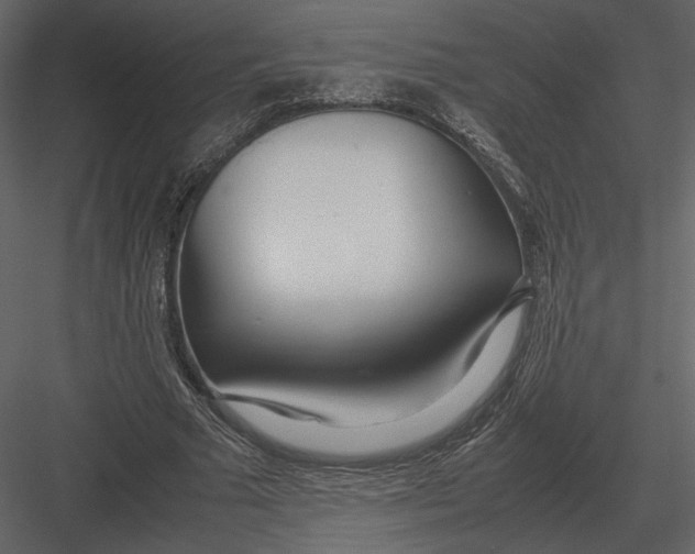 X0000083000681200702230127