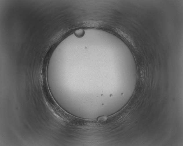 X0000083000682200702230127