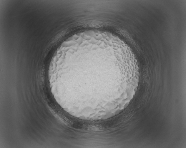 X0000083000683200702230127