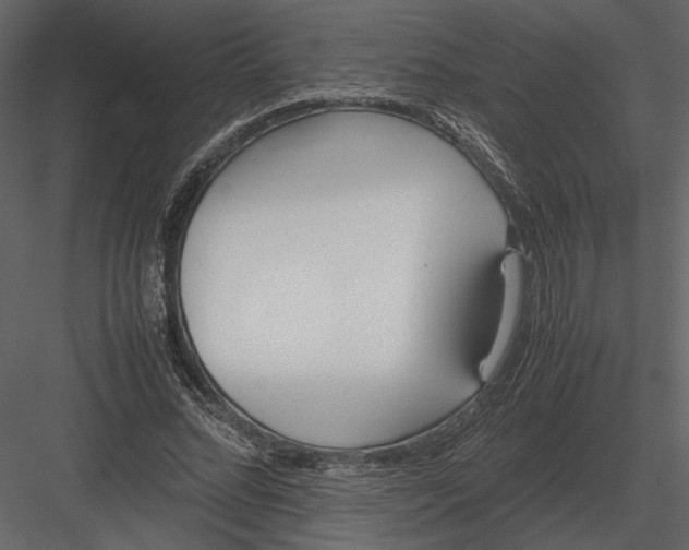 X0000083000684200702230127