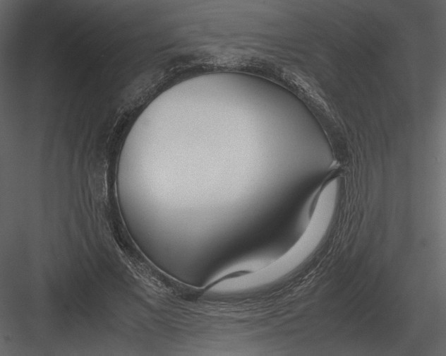 X0000083000685200702230127