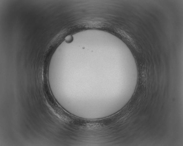 X0000083000686200702230127