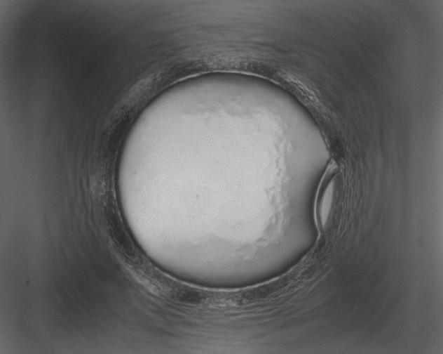 X0000083000687200702230127