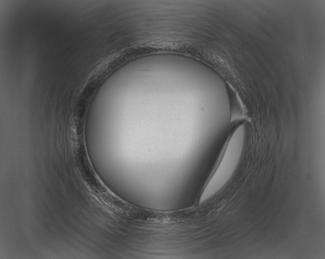 X0000083000688200702230127