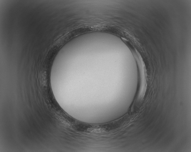 X0000083000689200702230127