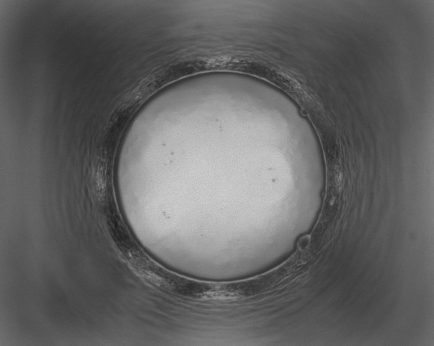 X0000083000691200702230127