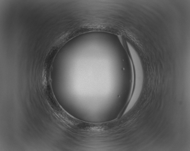 X0000083000692200702230127