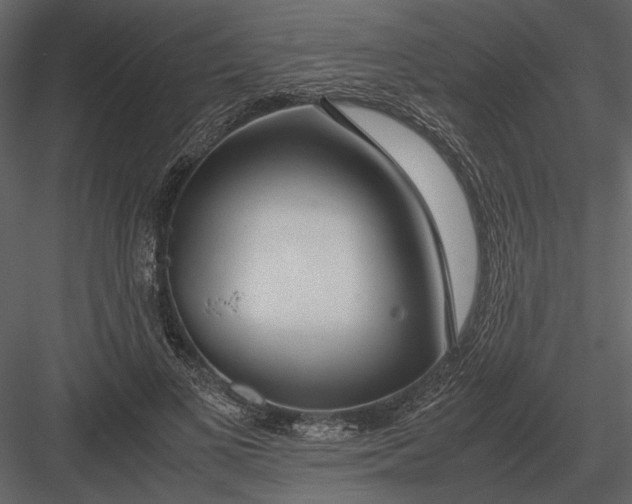 X0000083000693200702230127