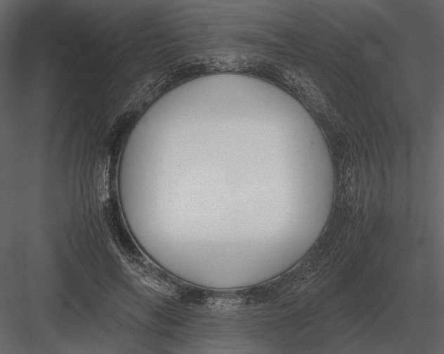 X0000083000694200702230127