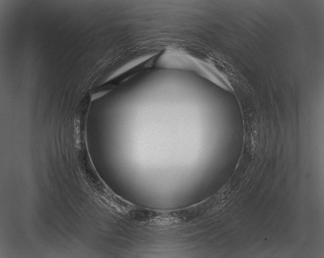 X0000083000696200702230127