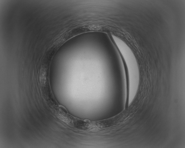 X0000083000697200702230127