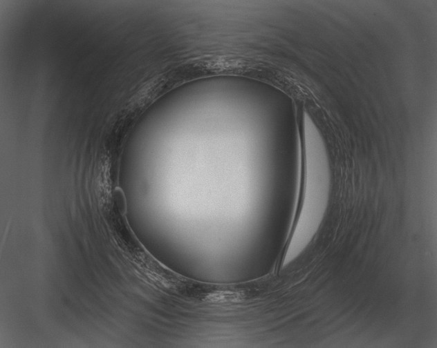 X0000083000700200702230127