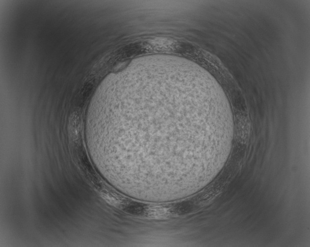 X0000083000701200702230127