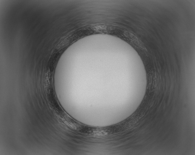 X0000083000702200702230127