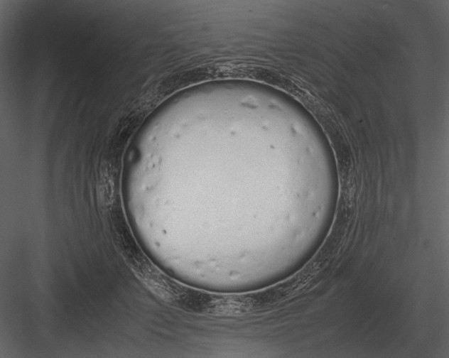 X0000083000703200702230127