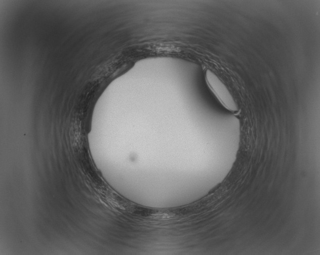 X0000083000704200702230127