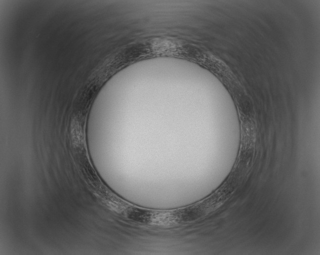 X0000083000705200702230127