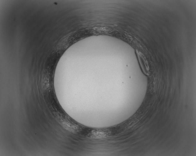 X0000083000706200702230127