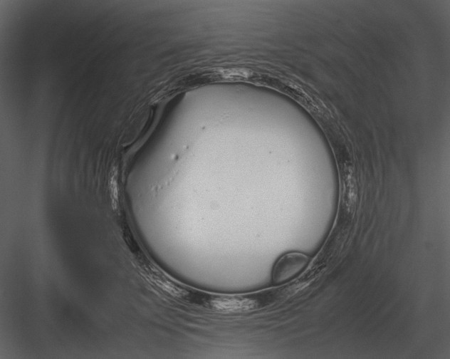 X0000083000707200702230127