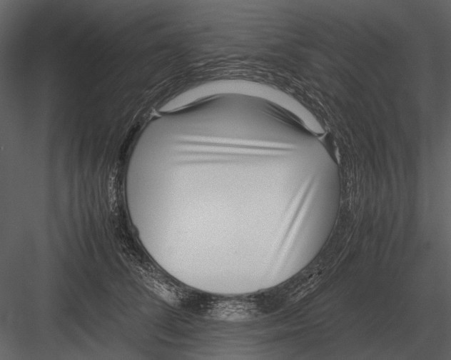 X0000083000708200702230127