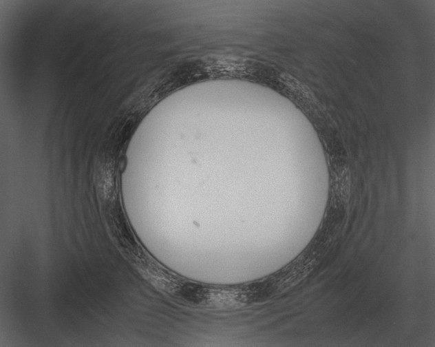 X0000083000709200702230127