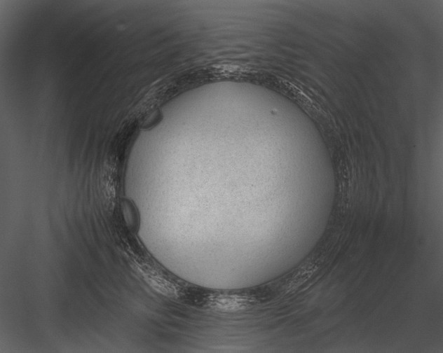 X0000083000710200702230127